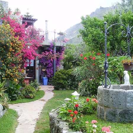 Ischia Island Casa Vacanze Il Pozzo 빌라 외부 사진