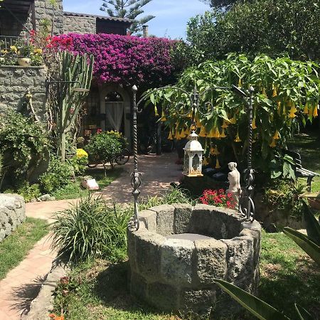 Ischia Island Casa Vacanze Il Pozzo 빌라 외부 사진