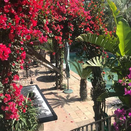Ischia Island Casa Vacanze Il Pozzo 빌라 외부 사진