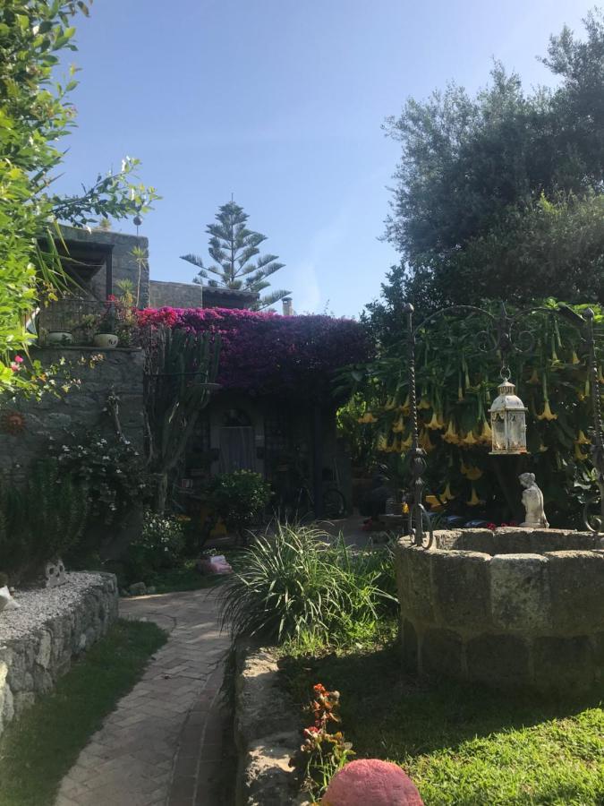 Ischia Island Casa Vacanze Il Pozzo 빌라 외부 사진