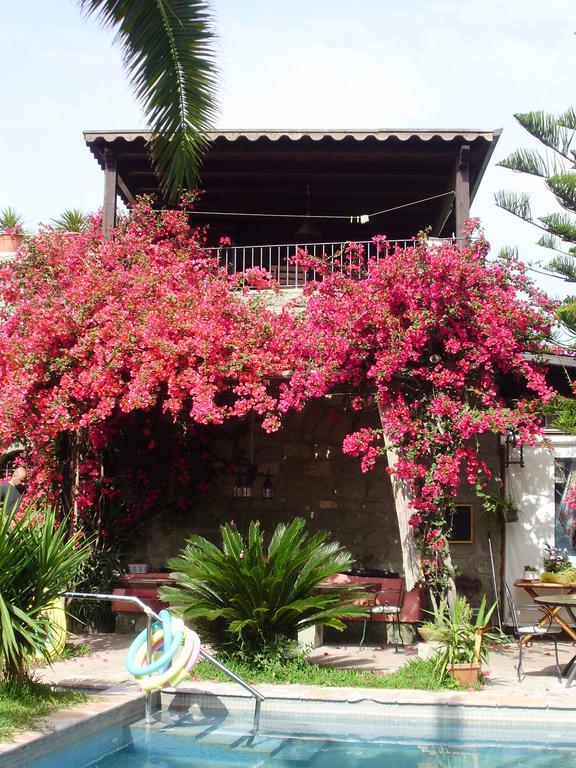 Ischia Island Casa Vacanze Il Pozzo 빌라 외부 사진