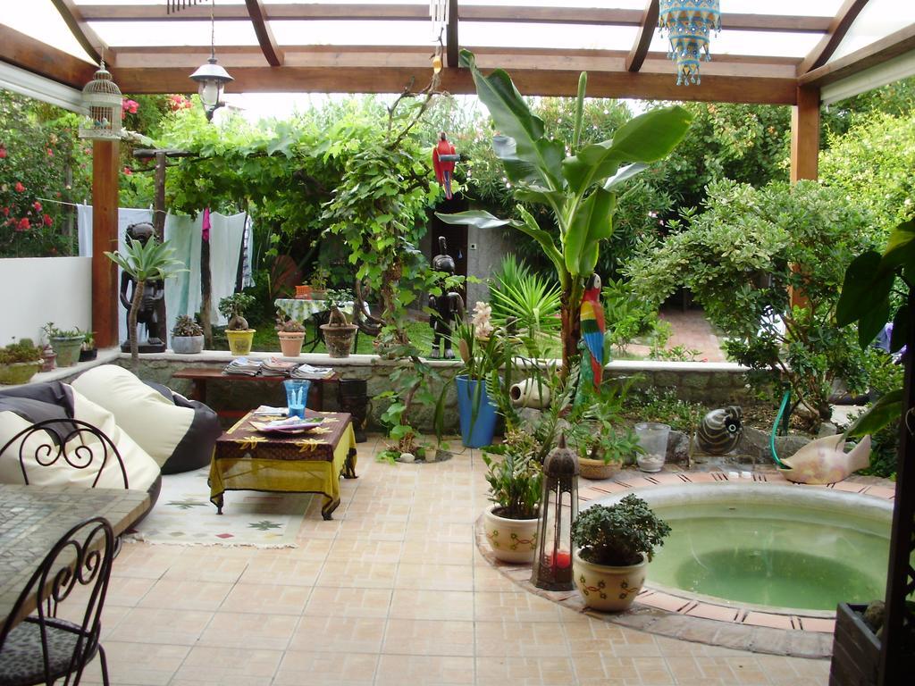 Ischia Island Casa Vacanze Il Pozzo 빌라 외부 사진