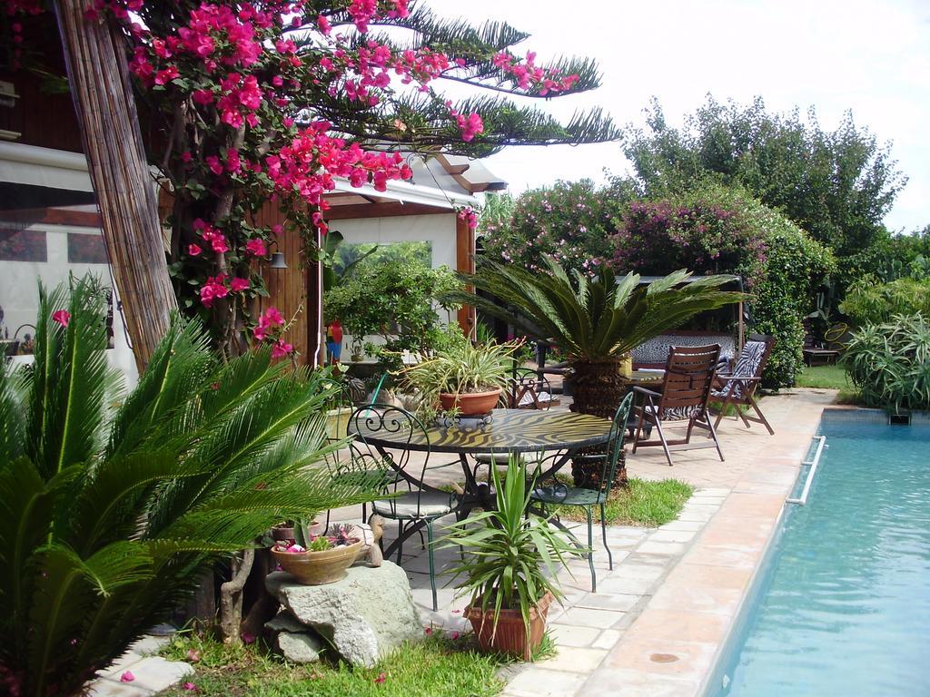 Ischia Island Casa Vacanze Il Pozzo 빌라 외부 사진