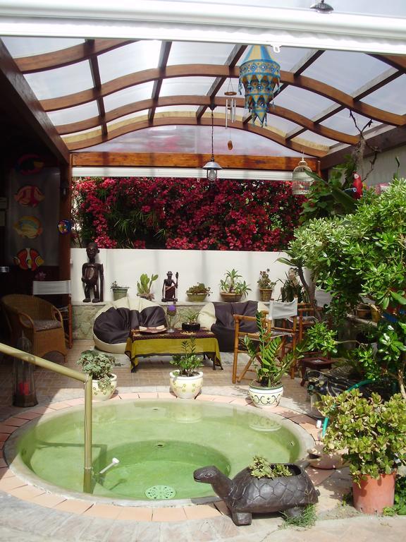 Ischia Island Casa Vacanze Il Pozzo 빌라 외부 사진