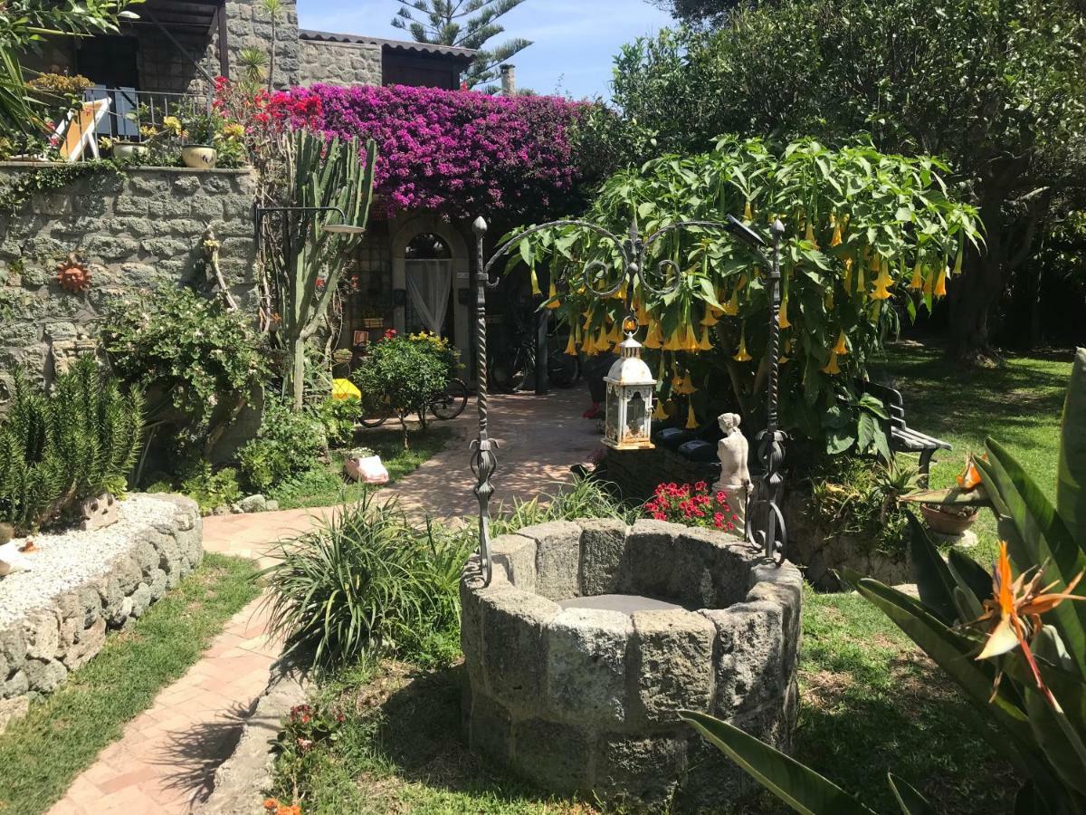 Ischia Island Casa Vacanze Il Pozzo 빌라 외부 사진