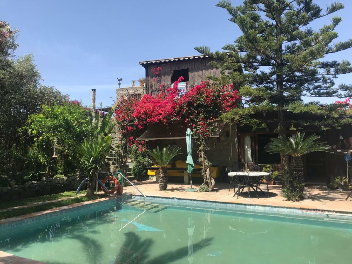 Ischia Island Casa Vacanze Il Pozzo 빌라 외부 사진