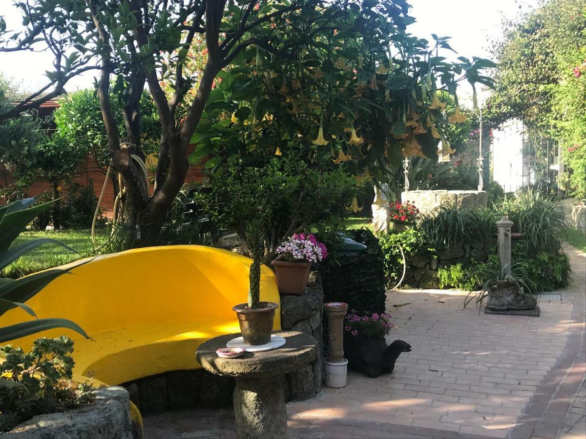 Ischia Island Casa Vacanze Il Pozzo 빌라 외부 사진